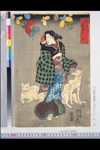 Spring Night Scene
