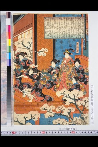 (Picture of Shiranui Hime Testing Tamekura)