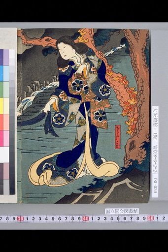 [Picture Book Sarashina Kotoba, 5th Month of the 4th Year of Kaei, Wakatayu Kabuki]