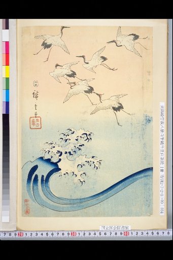 [Untitled]