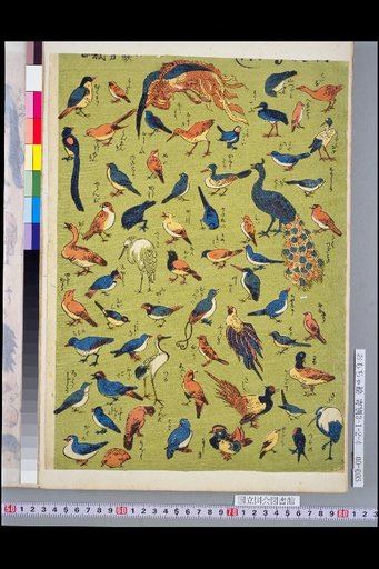 [New Prints: Bird Collection]