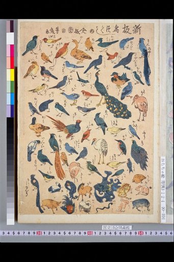 New Prints: Bird Collection