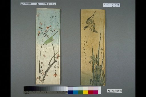 (Iris · Cuckoo), (Plum · Warbler)