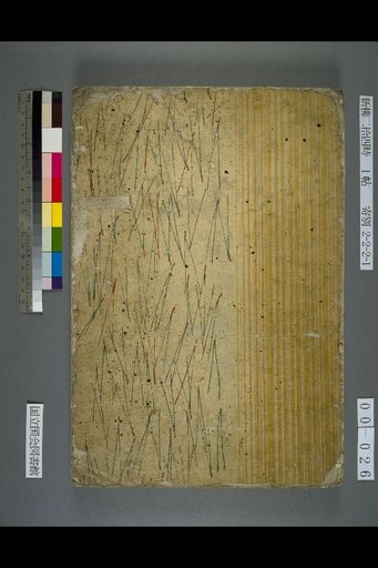 (Back Cover)