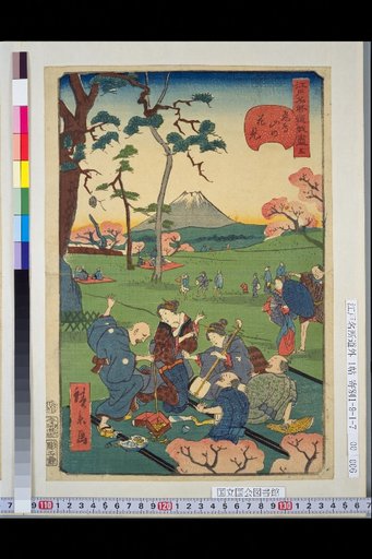 Edo Meisho Dōgei Tsukushi 5: Asukayama Cherry Blossom Viewing