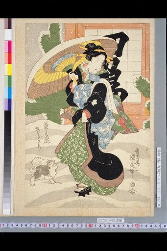 Kikunōjō Kidori