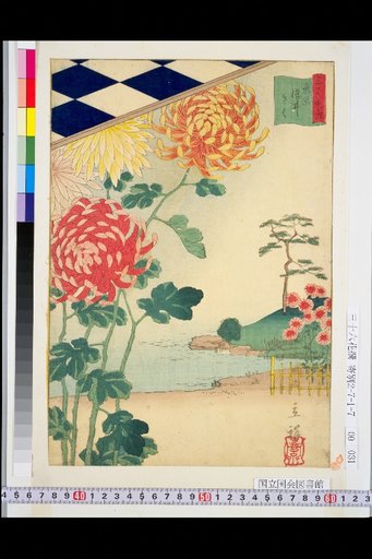 Tokyo: Chrysanthemums at Somei