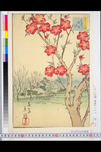 Eastern Capital: Peaches at Koshigaya