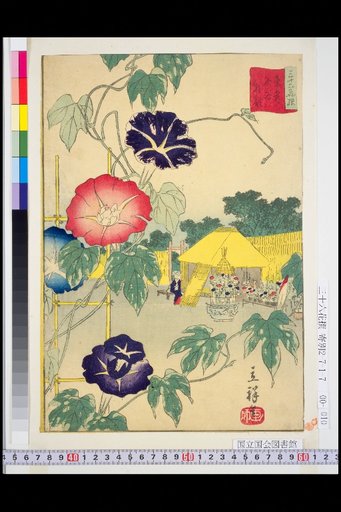 Eastern Capital: Morning Glories at Iriya