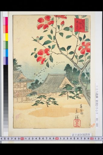 Eastern Capital: Camellias at Hori no Uchi