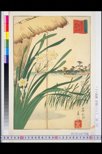 Eastern Capital: Narcissus at Oshiage