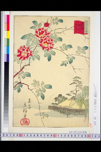 Tokyo Nezu Rose