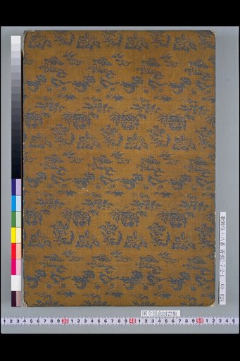 (Back Cover)
