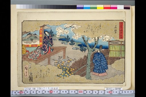 The Tale of Genji, 54 Chapters - The Young Wisteria