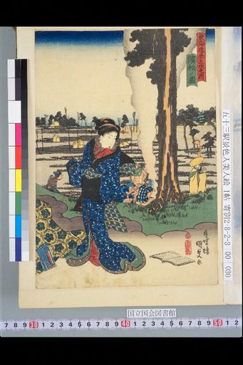 Tōkaidō Gojūsan-tsugi: View of Hamamatsu