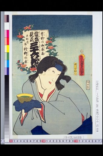 Camellias at Takanono, Ama Matsuki Go ni Oyanagi no Kata