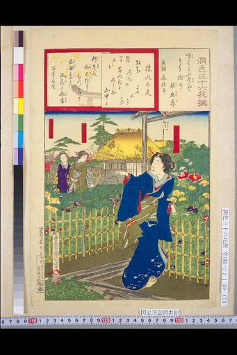 Shinmei, Takeya, Toku; Shinbashi, Komatsu; Moridaya, Koto