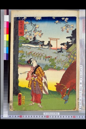 Tokaido: Seki