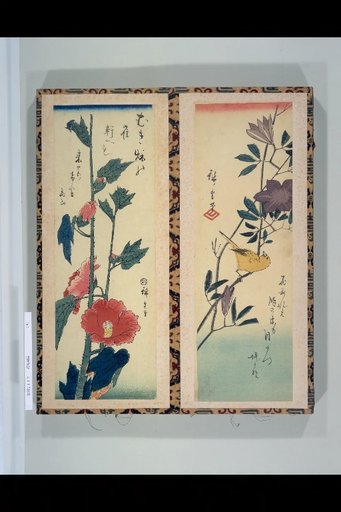 (Kumquat on Iron Pine), (Hollyhock)