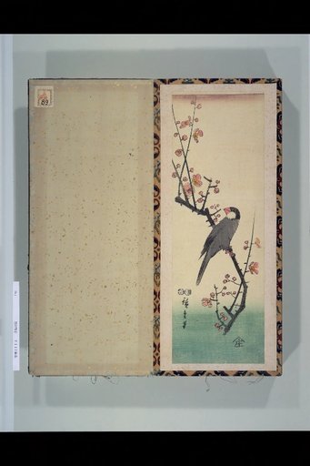 (Sparrows on Plum Blossoms)