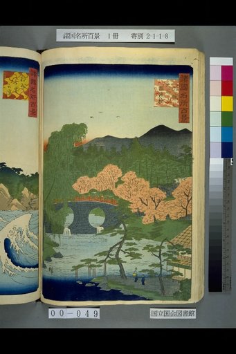 Hundred Views of Famous Places in Various Provinces, Yamato Otani Meganebashi