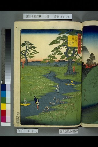 Hundred Famous Views of the Provinces: Shinshu, Field of Gentians