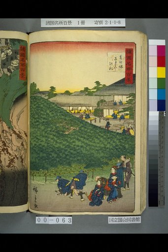 Hundred Famous Views of the Provinces: Izumi, Sakai, Pine of Naniwaya