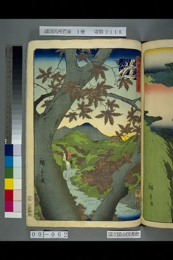 Hundred Famous Views of the Provinces: Izumi, Ushitaki, Red Maples