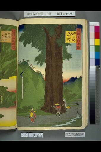 Hundred Famous Views of the Provinces: Yatate Cedar Trees in Kai
