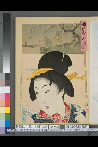 Mirror of the Ages: Ansei Period