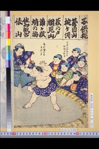 Children Playing Sumo