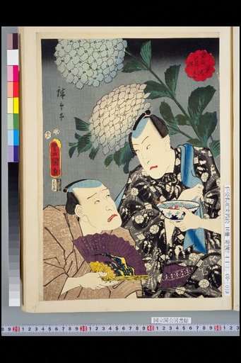 Selection of Six Flowers of the Present Prosperity: Hydrangea