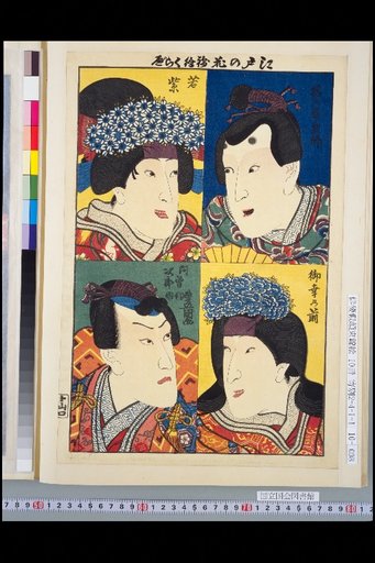 Edo Flower Brocade Picture Comparison: Hashino Fuji Senkyo / Mikoyuki no Mae / Wakamurasaki / Asanojiro