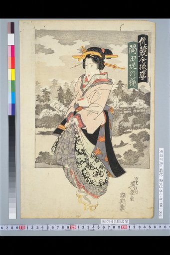 Adversaries Competing in Modern Styles: Cherry Blossoms at Sumida Embankment
