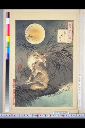 One Hundred Views of the Moon: The Moon at Musashino