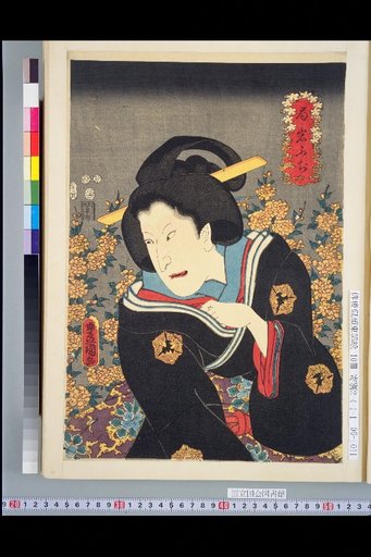 Lady Iwa Fuji