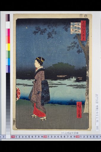 One Hundred Views of Edo: Shinnyo-zan Taninbo Night View