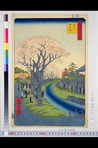 One Hundred Views of Edo: Flowers on the Tamagawa Embankment