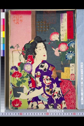 Twelve Months of Tokyo Pride
