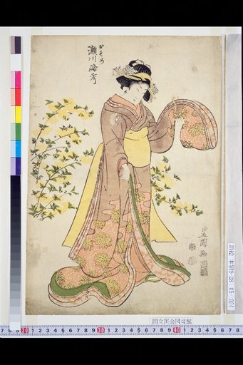 Osome: Segawa Michitaka