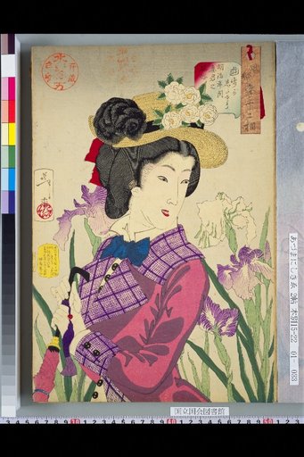 Thirty-two Types of Customs: Yūho-ga-shita-sō — Customs of Wives Who Like to Walk in the Meiji Period
