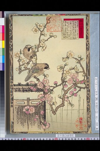 Bailei Flower-Bird Picture Album: Plum and Kachō