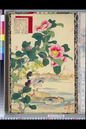 Bailei Flower-Bird Picture Album: Pomegranate and Duck