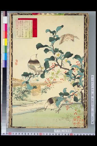 Bailei Flower-Bird Picture Album: Tea, [Mukudori], and Thrush