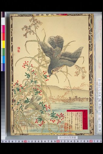 Bailei Flower-Bird Picture Album: Reed and Kite