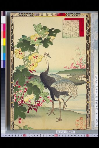 Bailei Flower-Bird Picture Album: Cotton and Tsuru