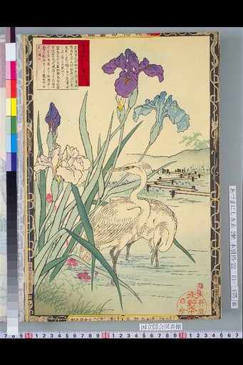 Bailei Flower-Bird Picture Album: Iris and Heron