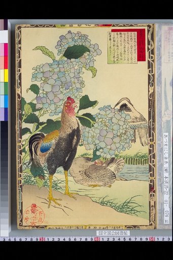 Bailei Flower-Bird Picture Album: Hydrangea and Pheasant