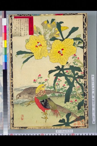 Bailei Flower-Bird Picture Album: Hibiscus and Golden Pheasant