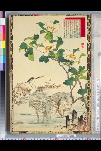Bailei Flower-Bird Picture Album: Camellia and Grey Heron